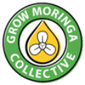 Grow Moringa