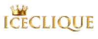 ICECLIQUE JEWELRY