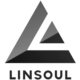 Linsoul Audio